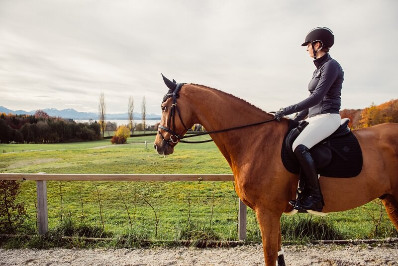 Reitsport Reiterin mit Pferd draußen