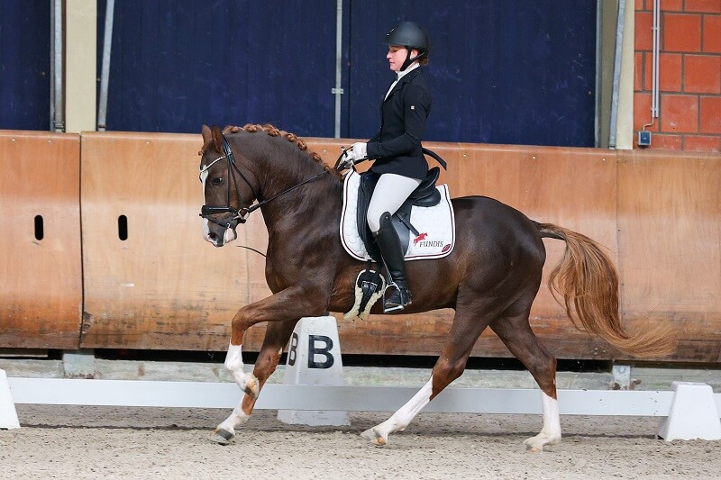 Dressurreiten-Turniere Dressurreiterin im Galopp auf dem Turnier