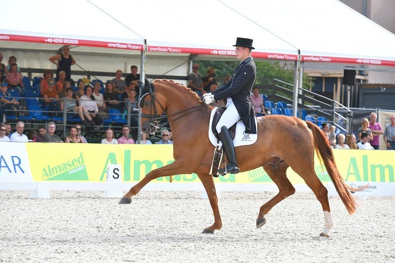 Reitturnier Dressur Reiter auf Turnier im starken Trab