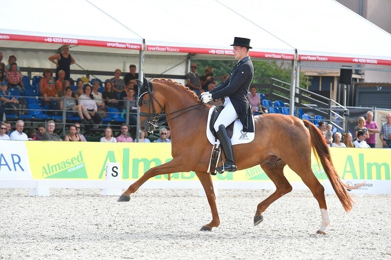 Reiter auf Turnier im starken Trab