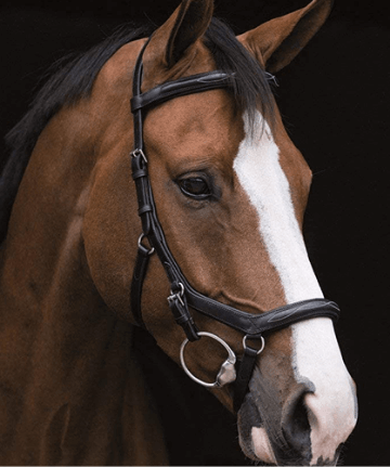 micklem-bridle micklem-bridle