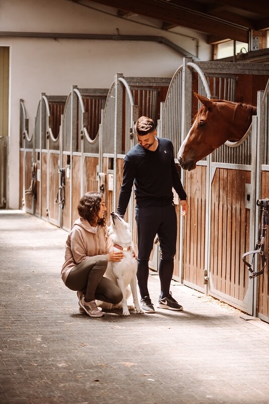 Stallhund Mann und Frau mit Hund im Stall