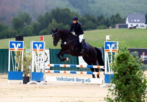Para-Springpferd Para-Springreiterin über Sprung