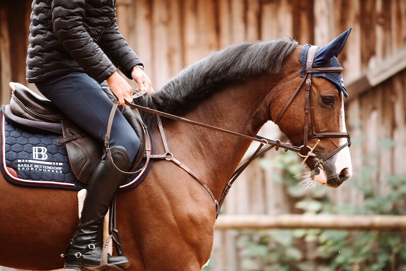 Pferd Kehlkopfpfeifen Reiter sitzt auf Pferd