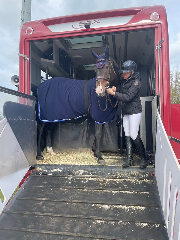 Reiterin trenst Pferd auf dem Transporter