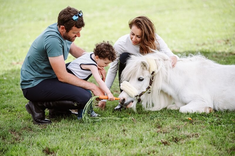 Kind fütter Pony mit einer Karotte