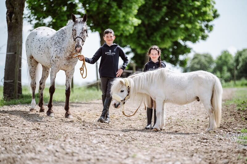 Zwei Kinder stehen neben Ponys