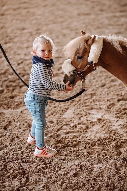 Pferde und Kinder Kleines Kind streichelt Pony