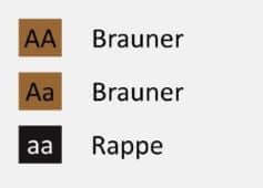 Genetik-Braune-und-Rappen