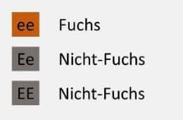 Genetik-Fuchs