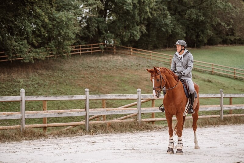 Springreiter Springreiter auf Pferd
