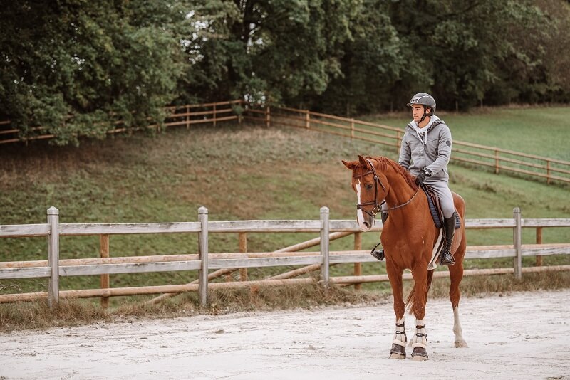 Springreiter auf Pferd