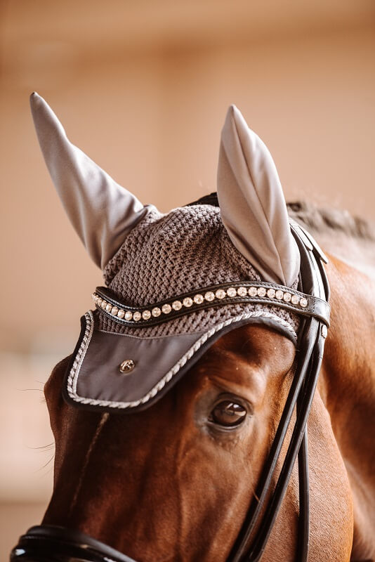 Stirnriemen-Glitzer Pferdekopf mit Fliegenhaube