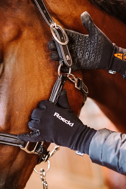 Pferd-verladen-Handschuhe Reithandschuhe
