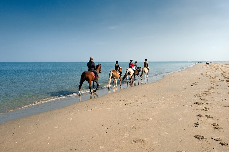 Reiter reiten am Strand entlang