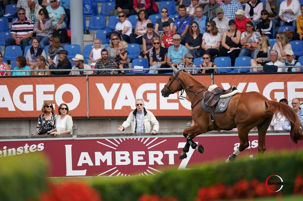 Pferd galoppiert reiterlos über Turnierplatz