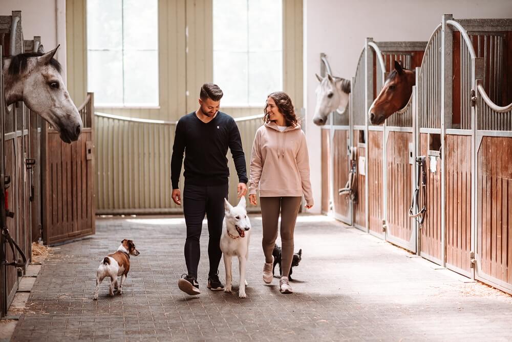 Mann und Frau mit Hunden im Stall