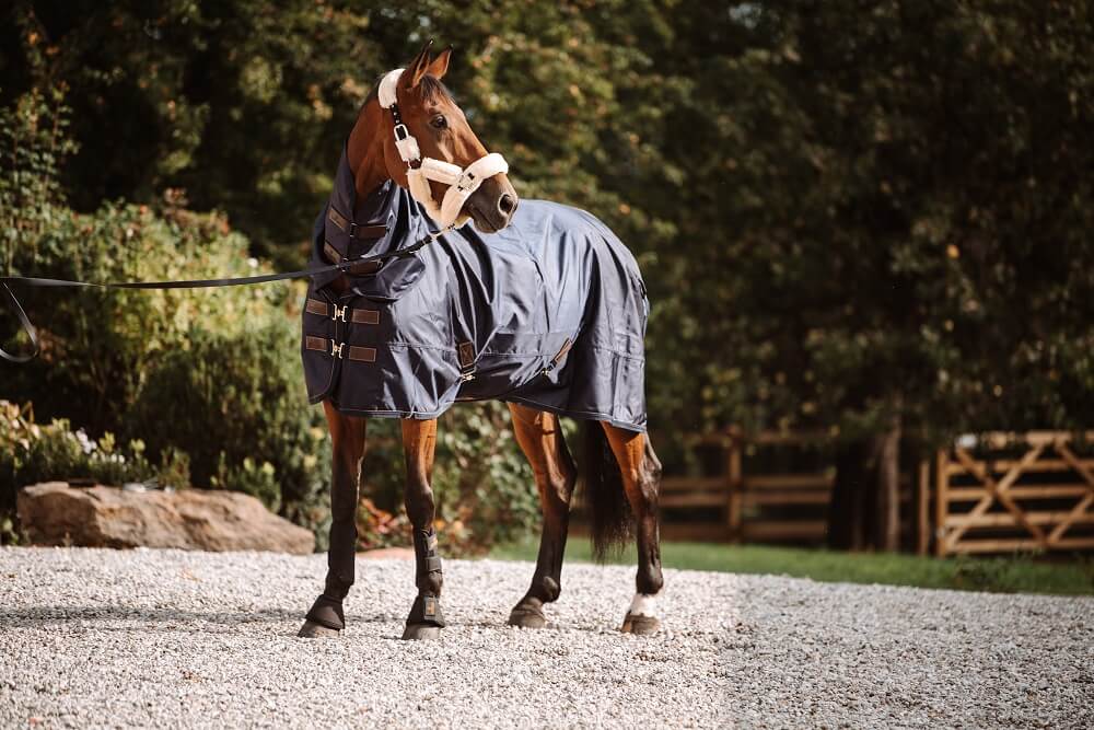 Pferd mit Kentucky Regendecke