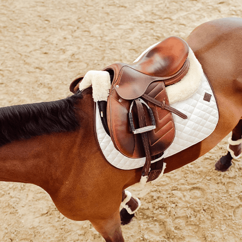 Pferd mit Sattel von oben