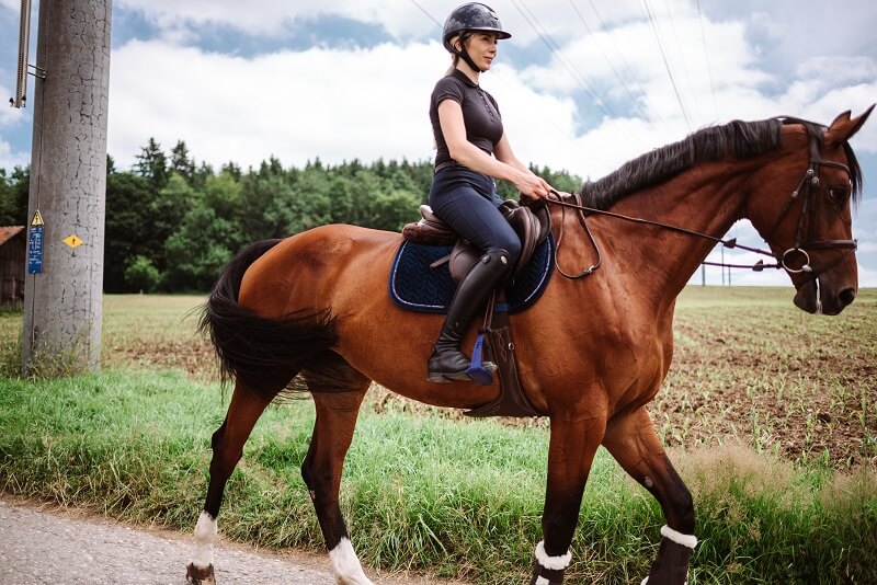 Pferd-gymnastizieren-Gelände Pferd-gymnastizieren-Gelände