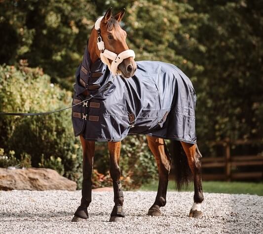 Pferd mit Kentucky Regendecke