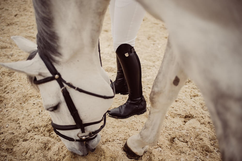 Pferd und Reiterin mit Reitstiefeln