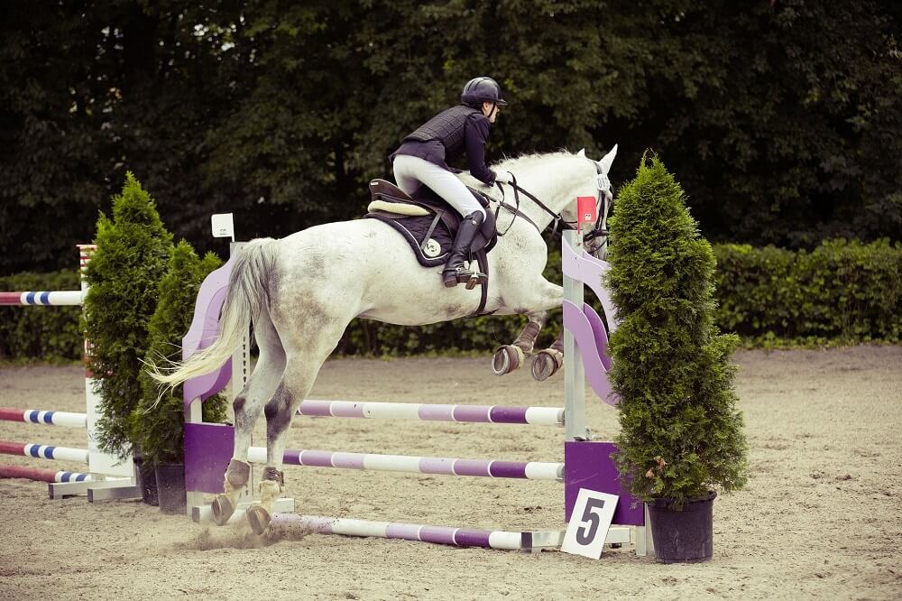 Reiter beim Springreiten am Turnier