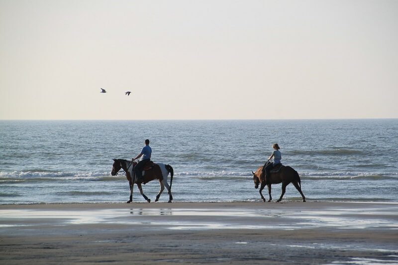 Urlaub mit Pferd Meer