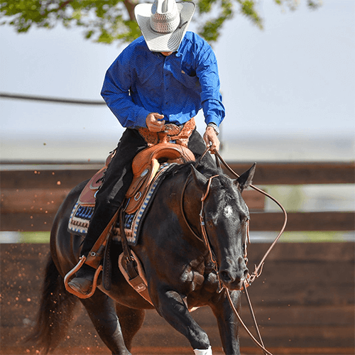 Westernreiten Turnier Bekleidung