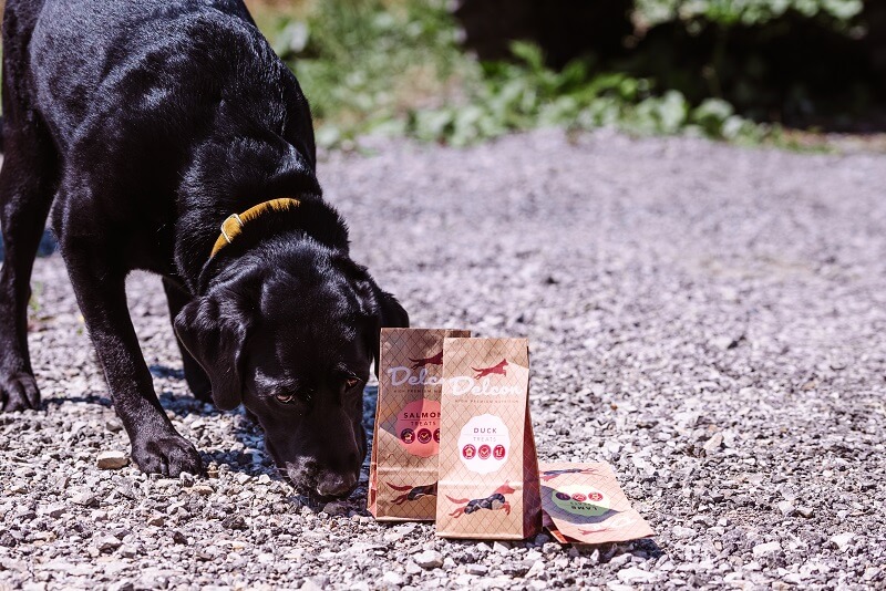 Hund schnuppert an Hundeleckerlis