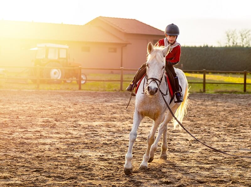 Kind reitet auf Pferd an der Longe