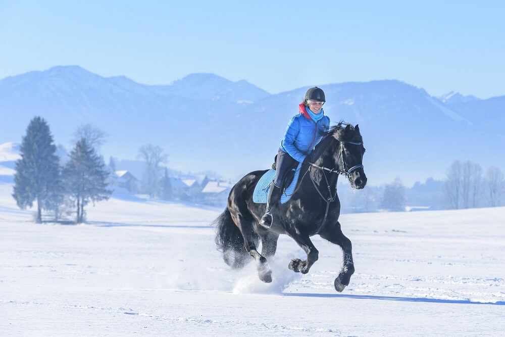 Reiten im Schnee Reiterin galoppiert im Schnee