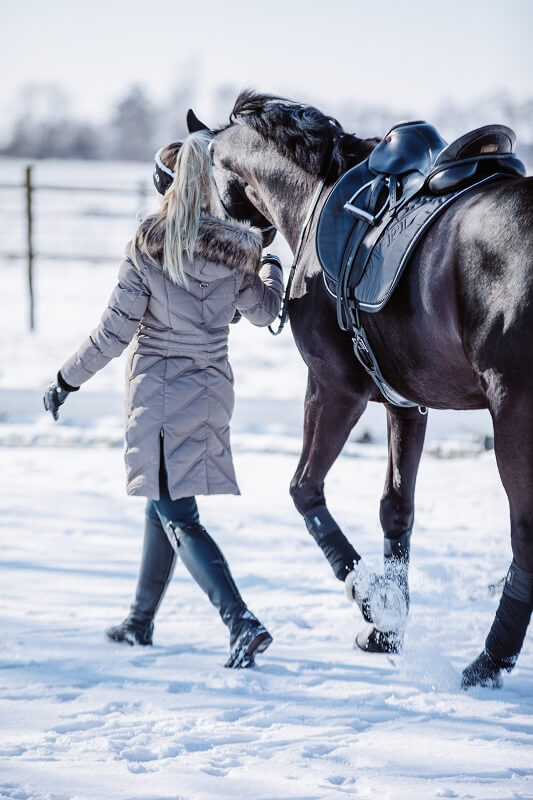 Reiten-im-Winter Frau führt Pferd im Schnee