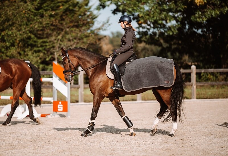 Training-Pferd Frau reitet Pferd draußen