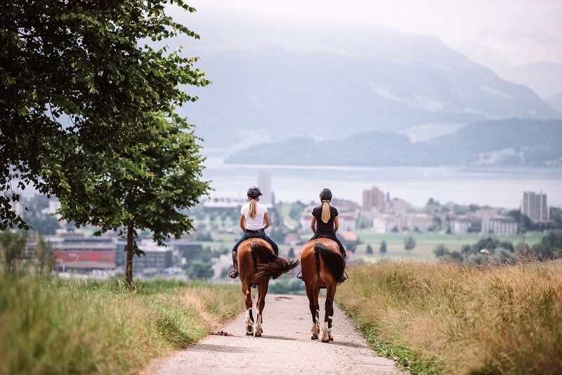 Ausreiten-mit-Pferden Zwei Reiterinnen beim Ausreiten von hinten