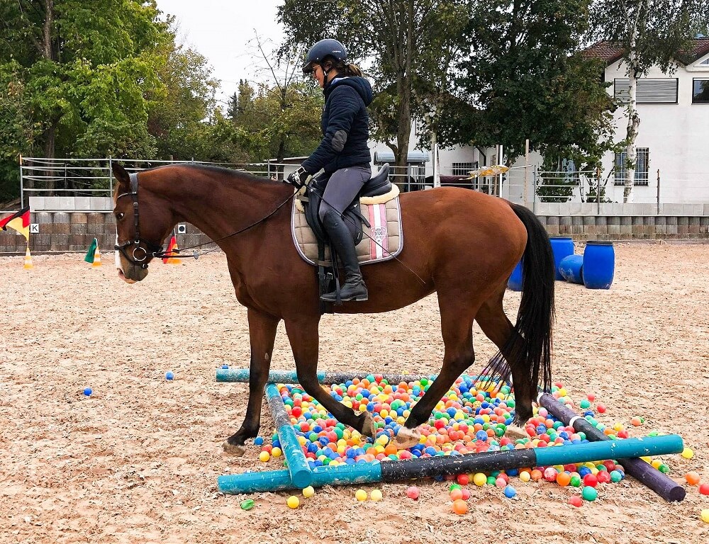 Reiterin und Pferd im Bällebad