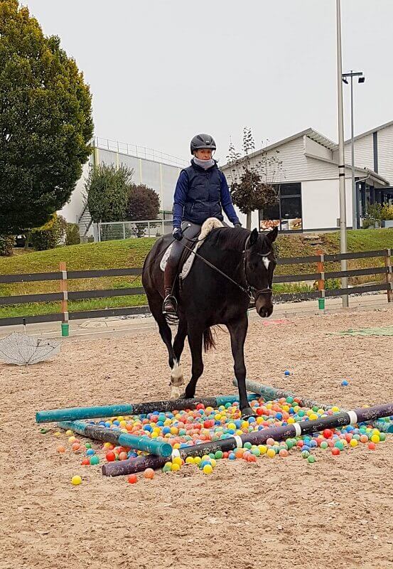 Gelassenheitstraining_Bällebad Reiterin geht mit Pferd durch Bällebad