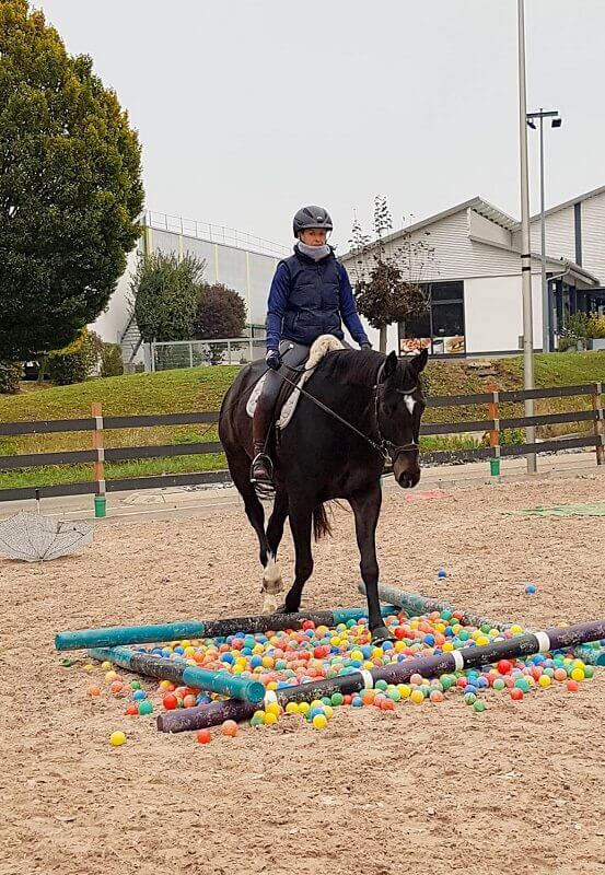 Reiterin geht mit Pferd durch Bällebad