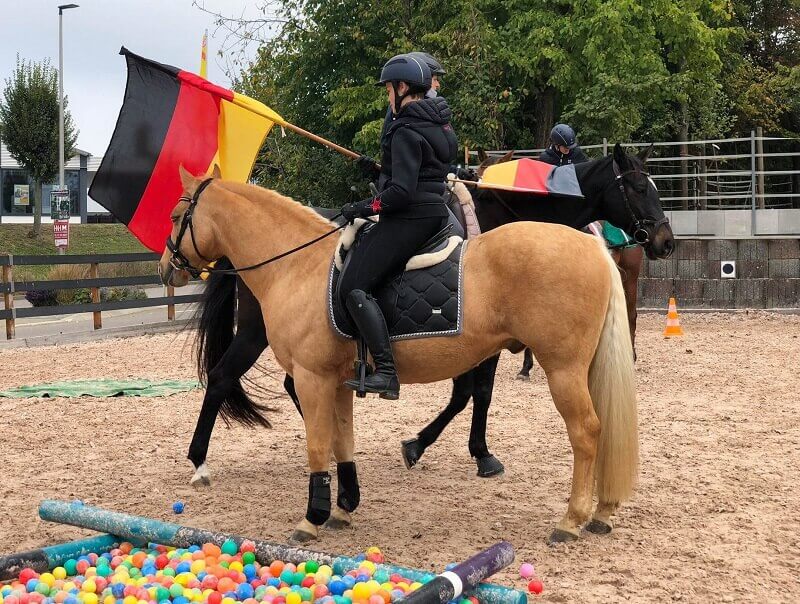 Gelassenheitstraining_Flagge Pferd hat Flagge über dem Kopf