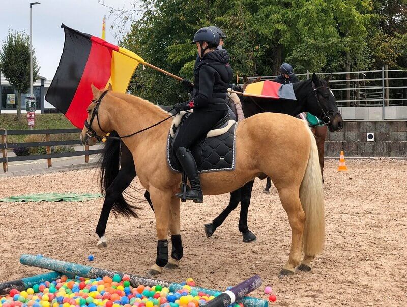 Pferd hat Flagge über dem Kopf