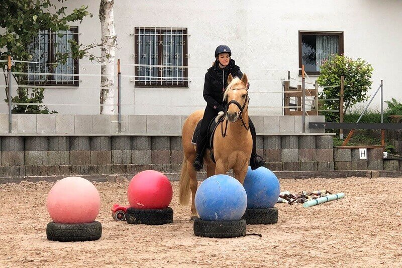 Gelassenheitstraining_Gymnastikbälle Pferd und Reiter stehen zwischen Gymnastikbällen