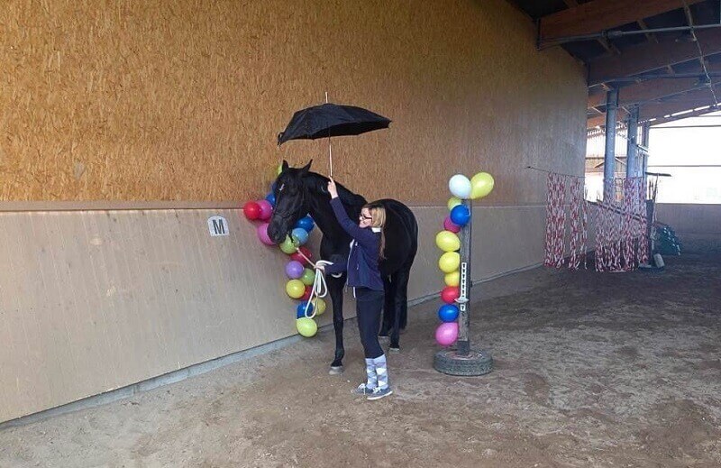 Frau führt Pferd durch Luftballons mit Regenschirm