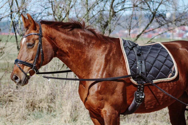 AMKA Doppellonge 16 Meter - Mit 2 Karabinern, Polypropylen