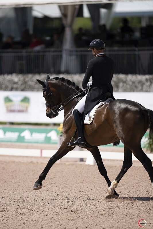 Traversale reiten Frederic Wandres reitet Traversale
