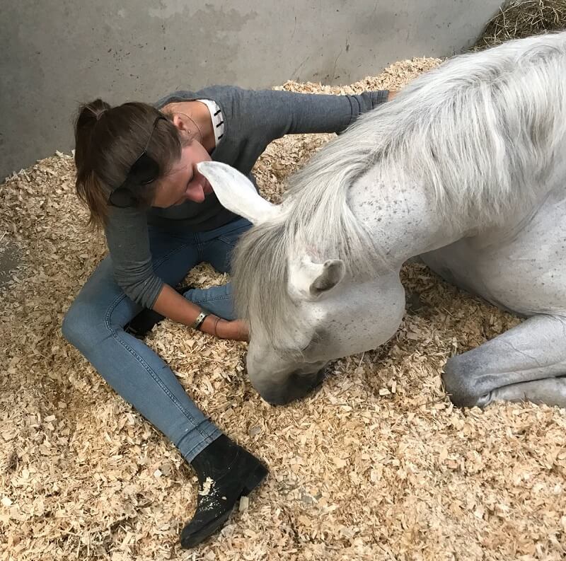 Frau sitzt neben liegendem Pferd in der Box