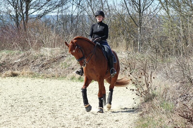 Frau reitet Schulterherein