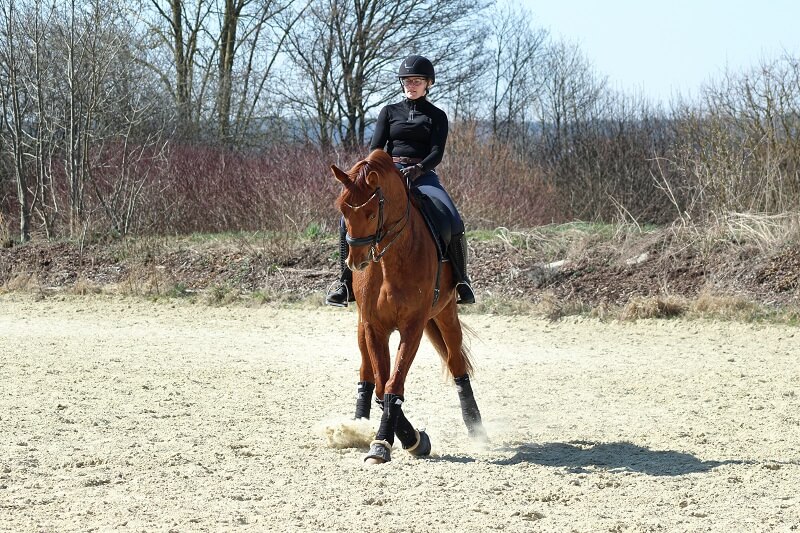 Traversale-reiten Frau reitet eine Traversale