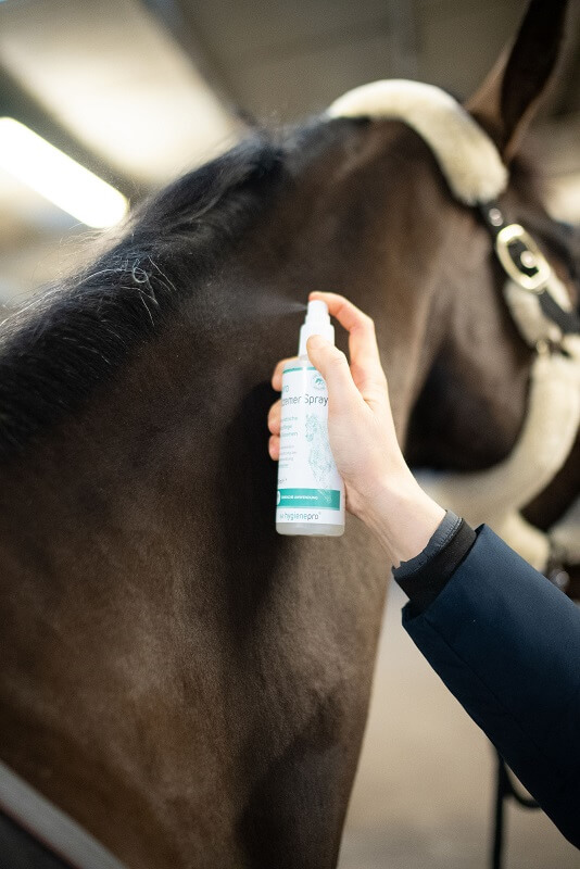 hpro-Eczemer-Spray Pferd wird eingesprüht