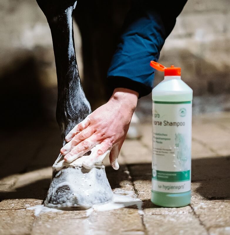 hpro-Pferde-Shampoo Pferdebein wird gewaschen