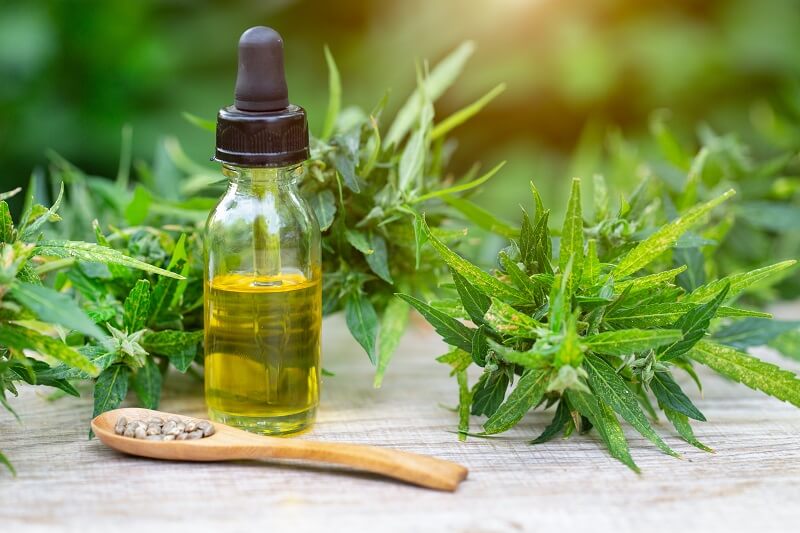 CBD-Öl-fürs-Pferd CBD-Öl